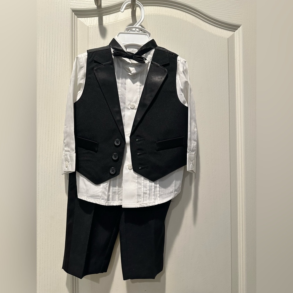 Staring Out Baby Tuxedo